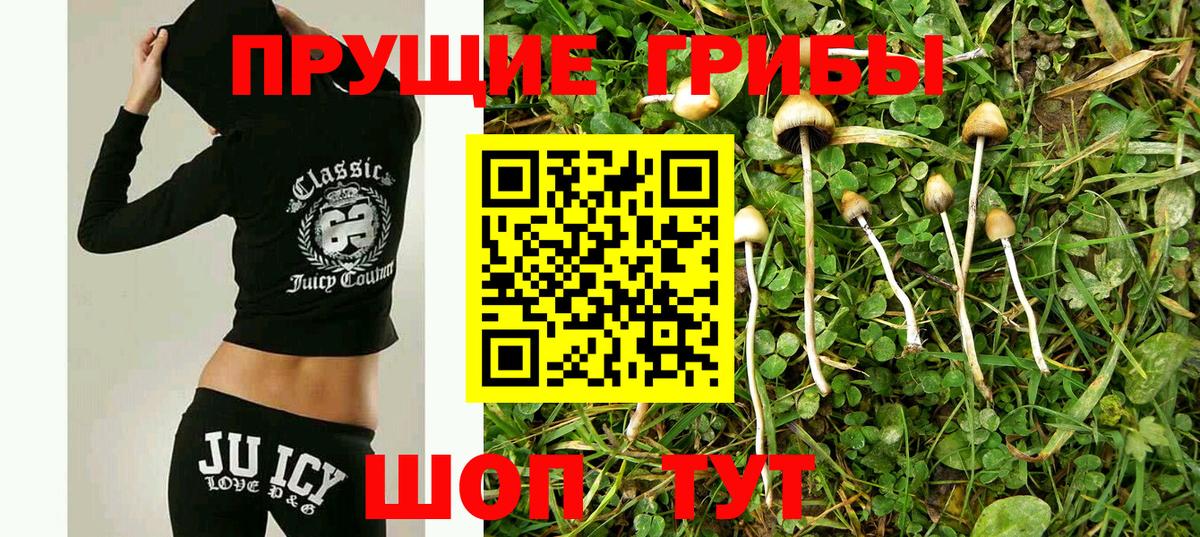Галлюциногенные грибы MAGIC MUSHROOMS Надым